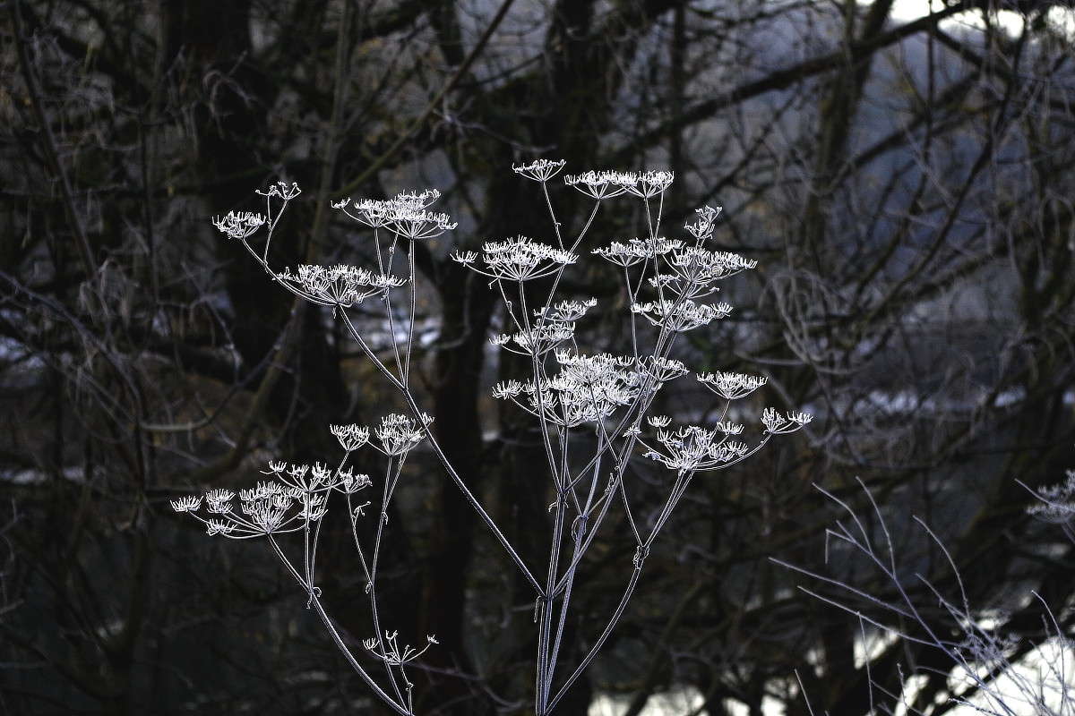 ������ ������� ����� ���� ������ �� PhotoGeek.ru #������ ��� �������