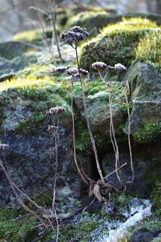 ����� ����� ���� ������ �� PhotoGeek.ru #�����