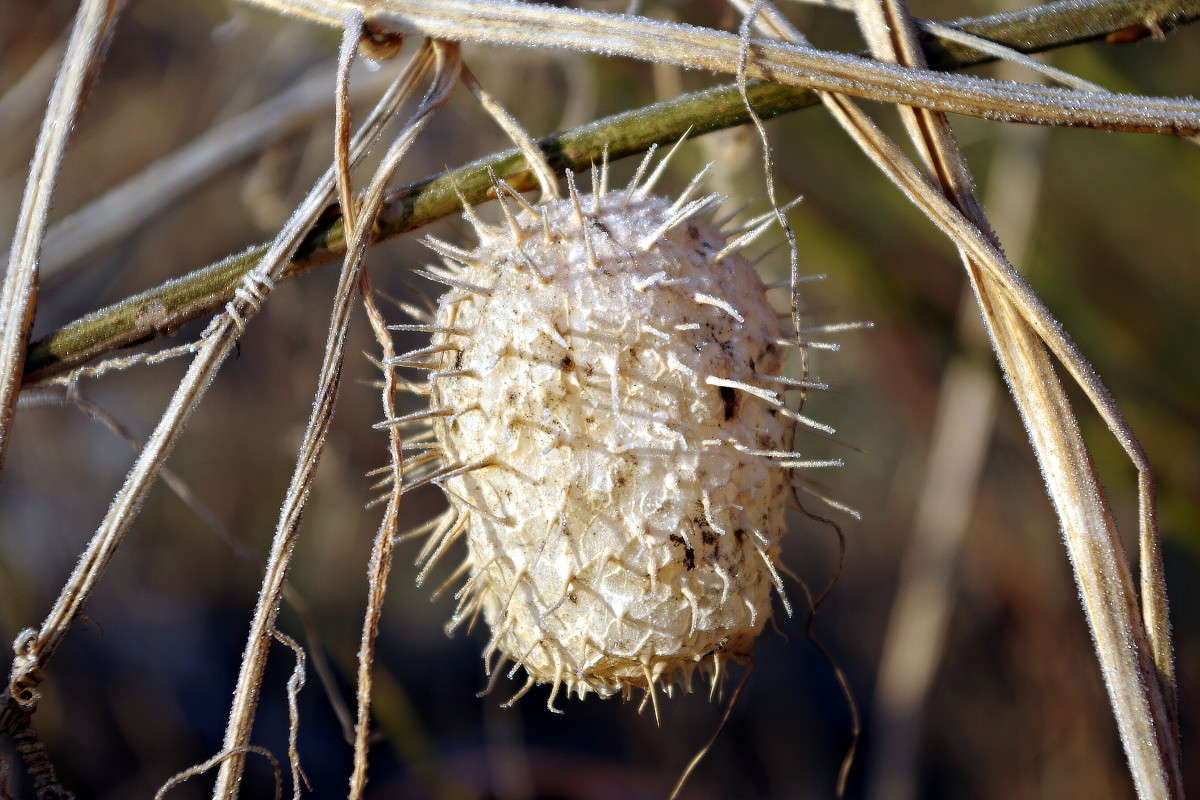 �����... ����� ���� ������ �� PhotoGeek.ru #������ ��� �������