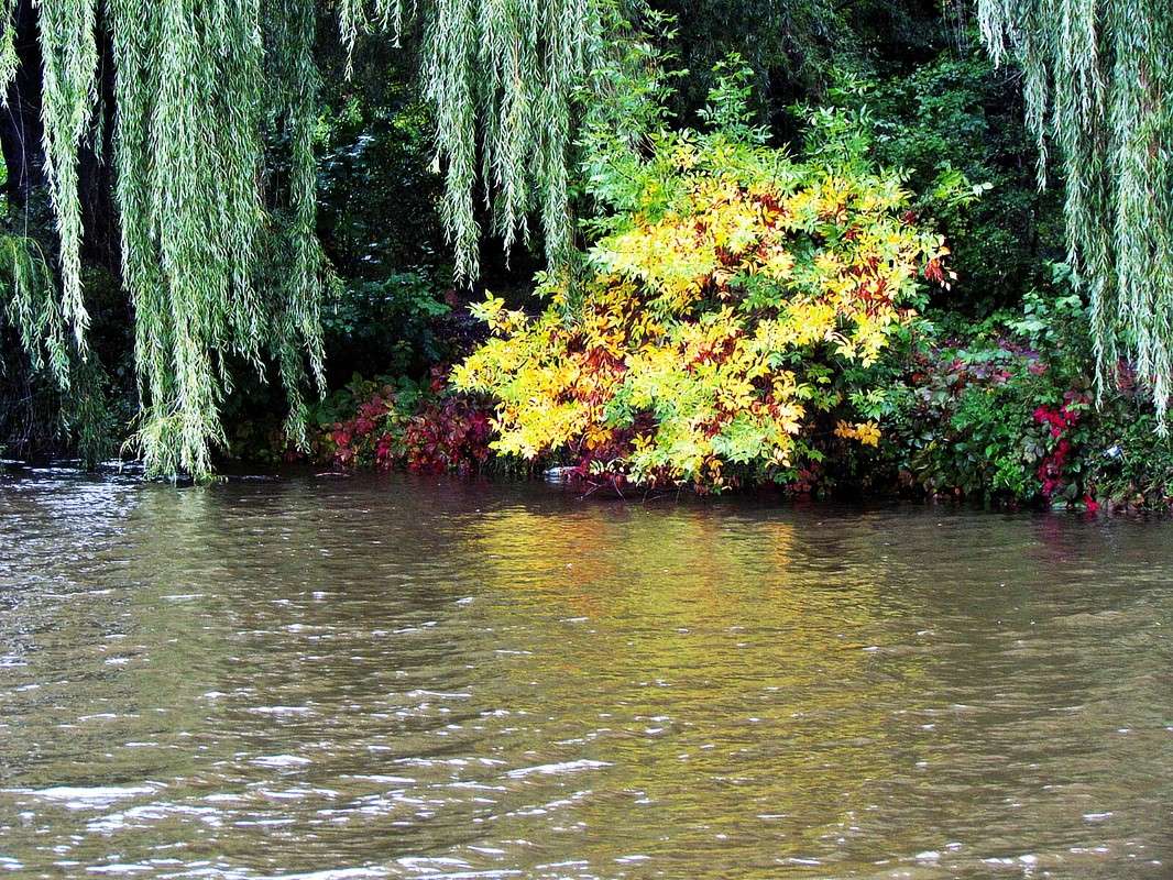 ������ ����� ����� ���� ������ �� PhotoGeek.ru #������ ��� �������