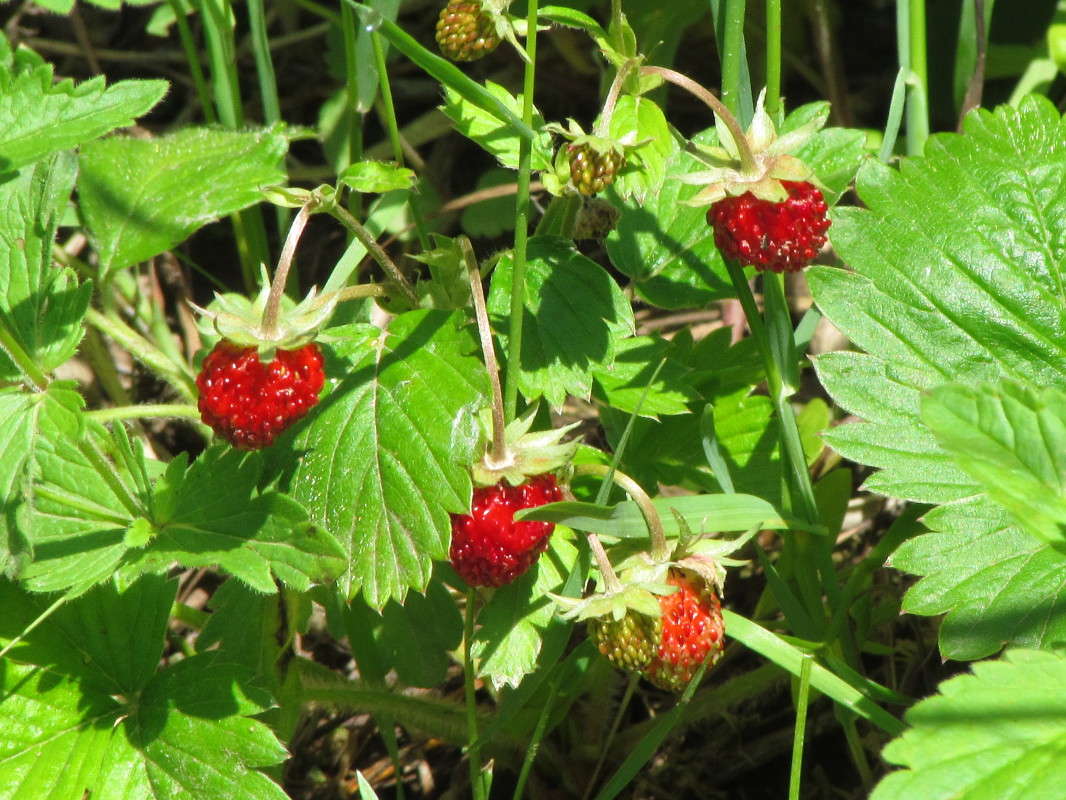 ��������� ����� ���� ������ �� PhotoGeek.ru #������ ��� �������