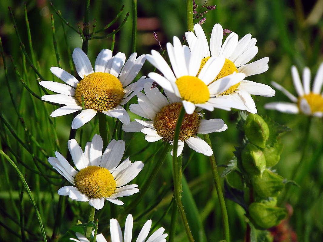 ������� ����� ���� ������ �� PhotoGeek.ru #������ ��� �������