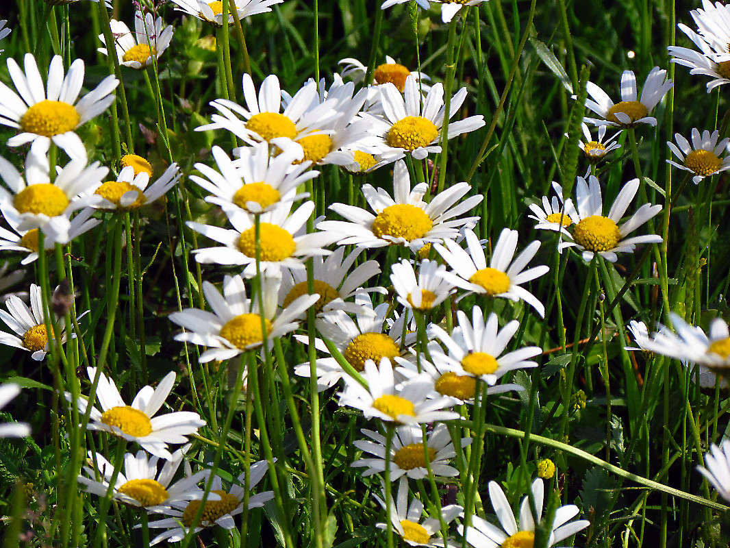 ������� ����� ���� ������ �� PhotoGeek.ru #������ ��� �������