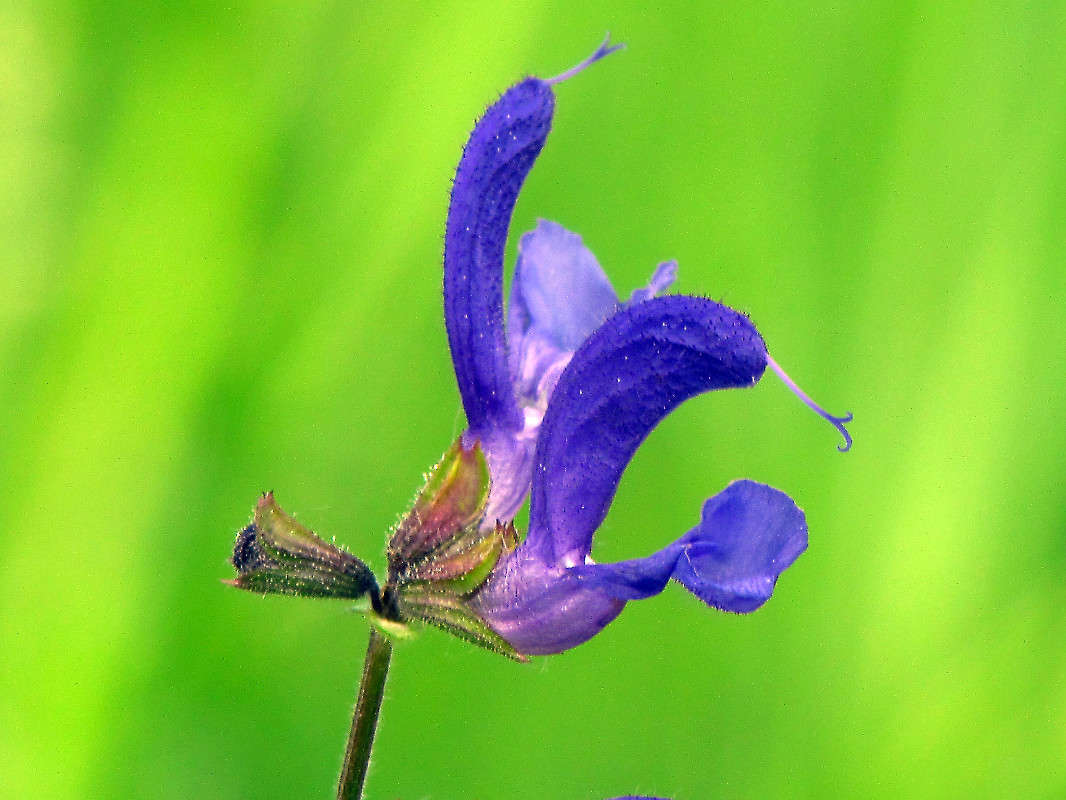 ������ ����� ���� ������ �� PhotoGeek.ru #������ ��� �������