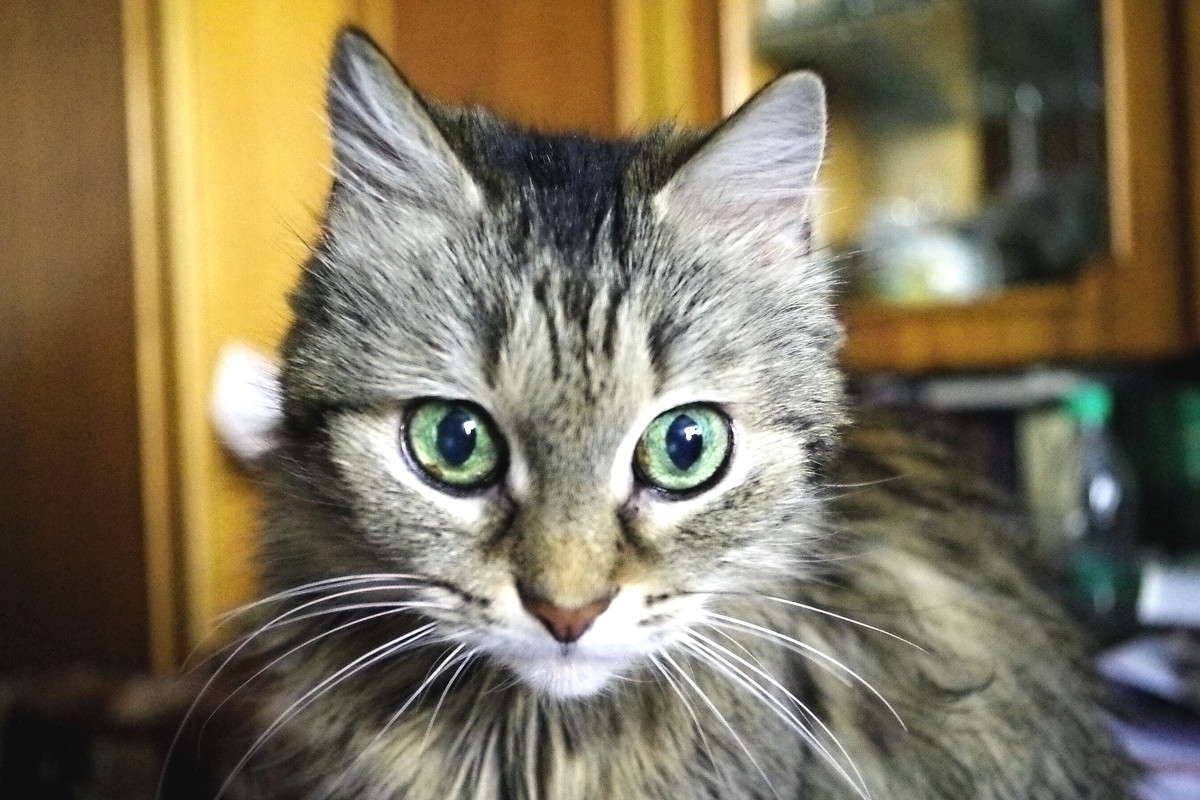 ���� ����� ���� ������ �� PhotoGeek.ru #�������� ���