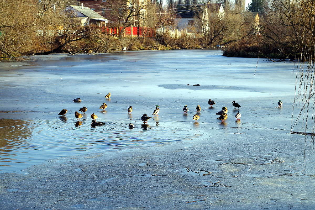 �� ������� ����� ���� ������ �� PhotoGeek.ru #�������� ����������