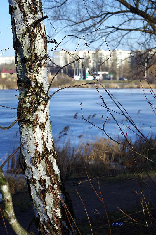 ���� ����� ���� ������ �� PhotoGeek.ru #������ ��� �������