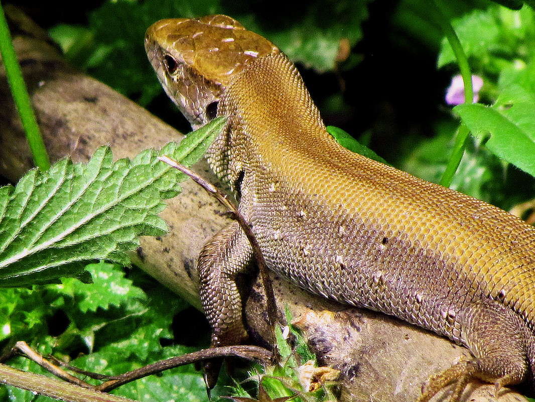 ������� ����� ���� ������ �� PhotoGeek.ru #�������� ���