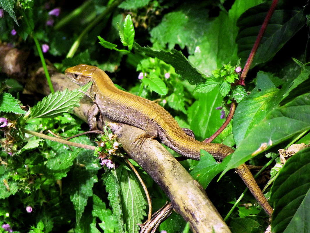 ������� ����� ���� ������ �� PhotoGeek.ru #�������� ���