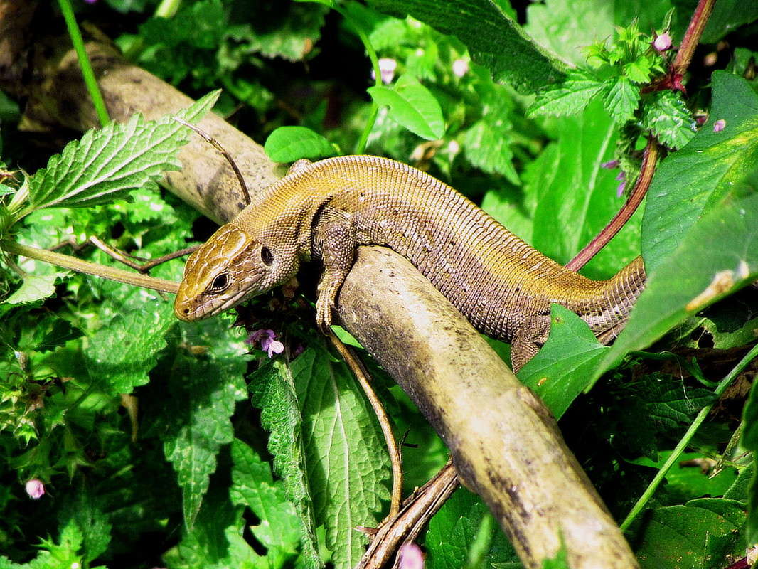 ������� ����� ���� ������ �� PhotoGeek.ru #�������� ���