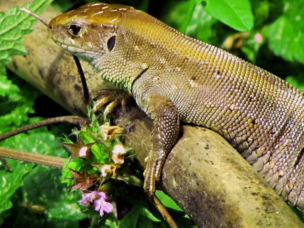 ..... ����� ���� ������ �� PhotoGeek.ru #�������� ���