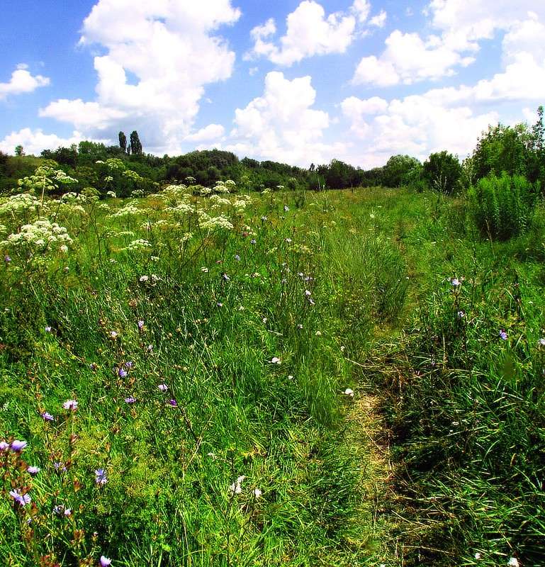 ���� ����� ���� ������ �� PhotoGeek.ru #������ ��� �������