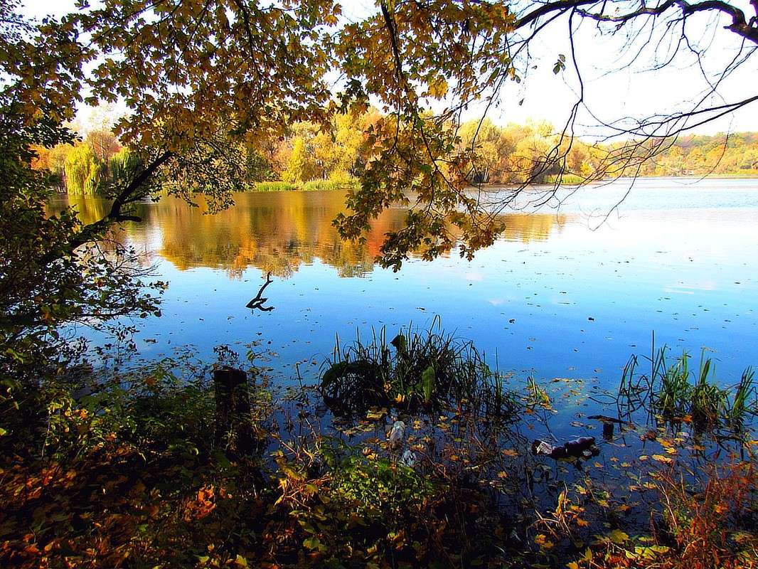 ������ ����� ����� ���� ������ �� PhotoGeek.ru #������ ��� �������