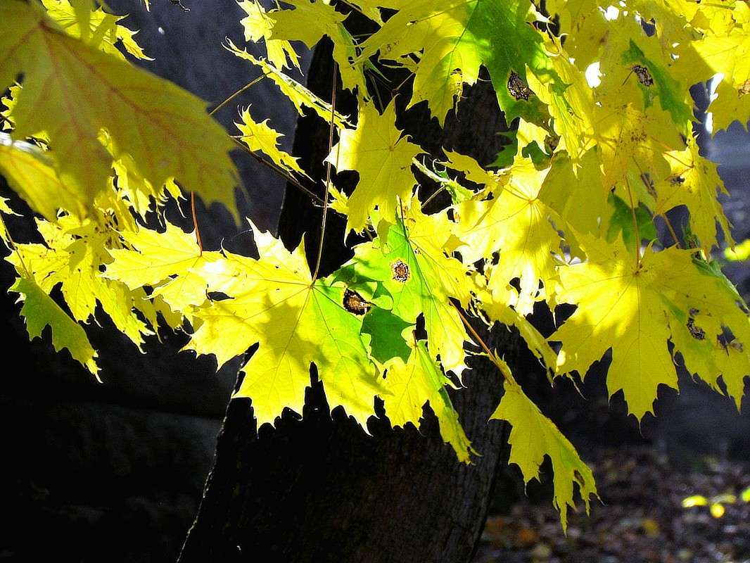 �����,������ ����� ���� ������ �� PhotoGeek.ru #������ ��� �������