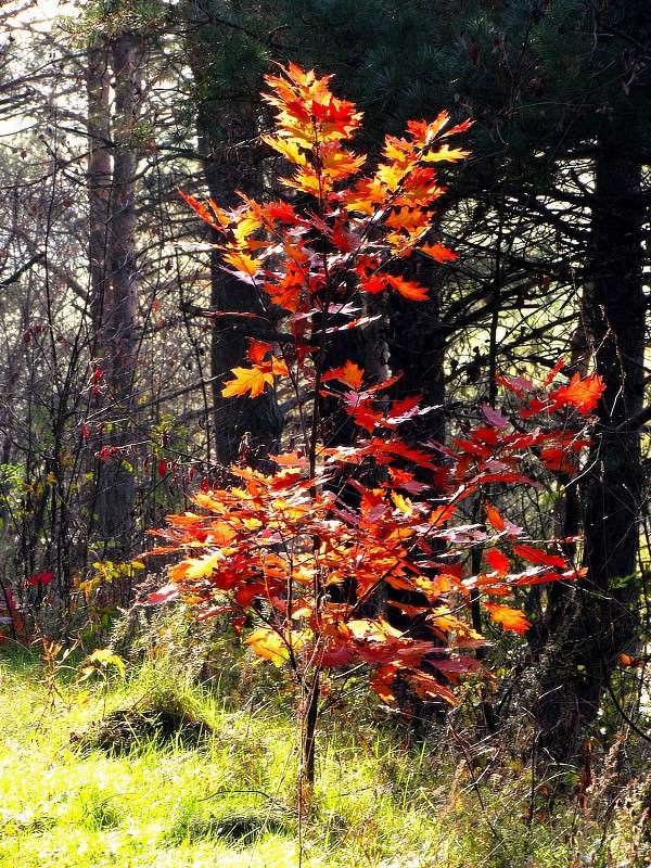 ����� ����� ���� ������ �� PhotoGeek.ru #������ ��� �������