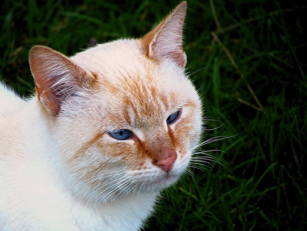 ����� ����� ���� ������ �� PhotoGeek.ru #�������� ���