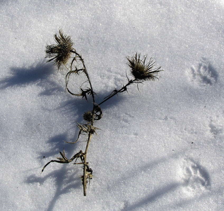 ����� ���� ����� ���� ������ �� PhotoGeek.ru #�������� ����������