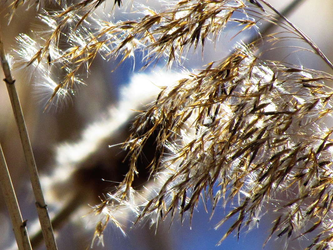 ����� ����� ���� ������ �� PhotoGeek.ru #������ ��� �������