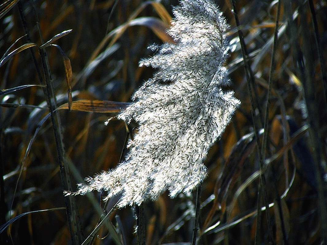 �����.������.����. ����� ���� ������ �� PhotoGeek.ru #������ ��� �������