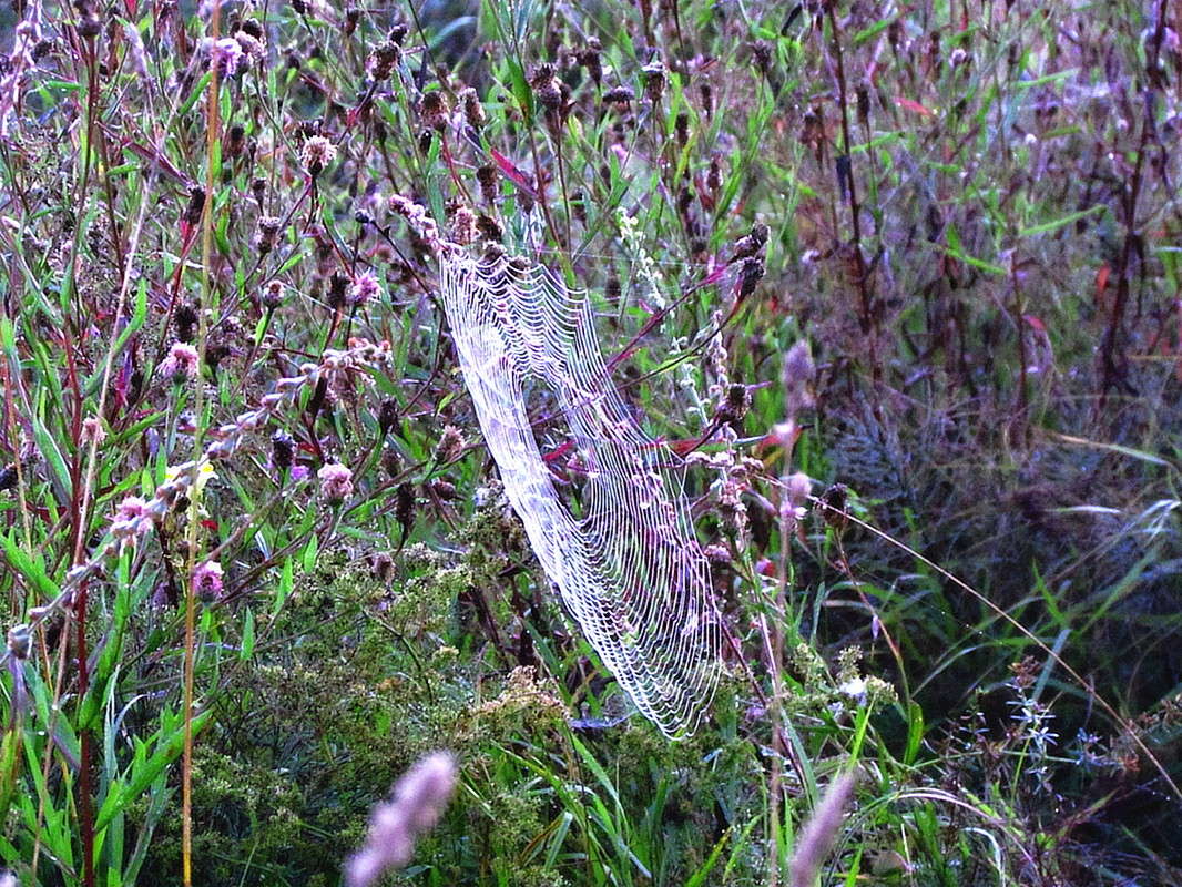 ������� ����� ���� ������ �� PhotoGeek.ru #������ ��� �������