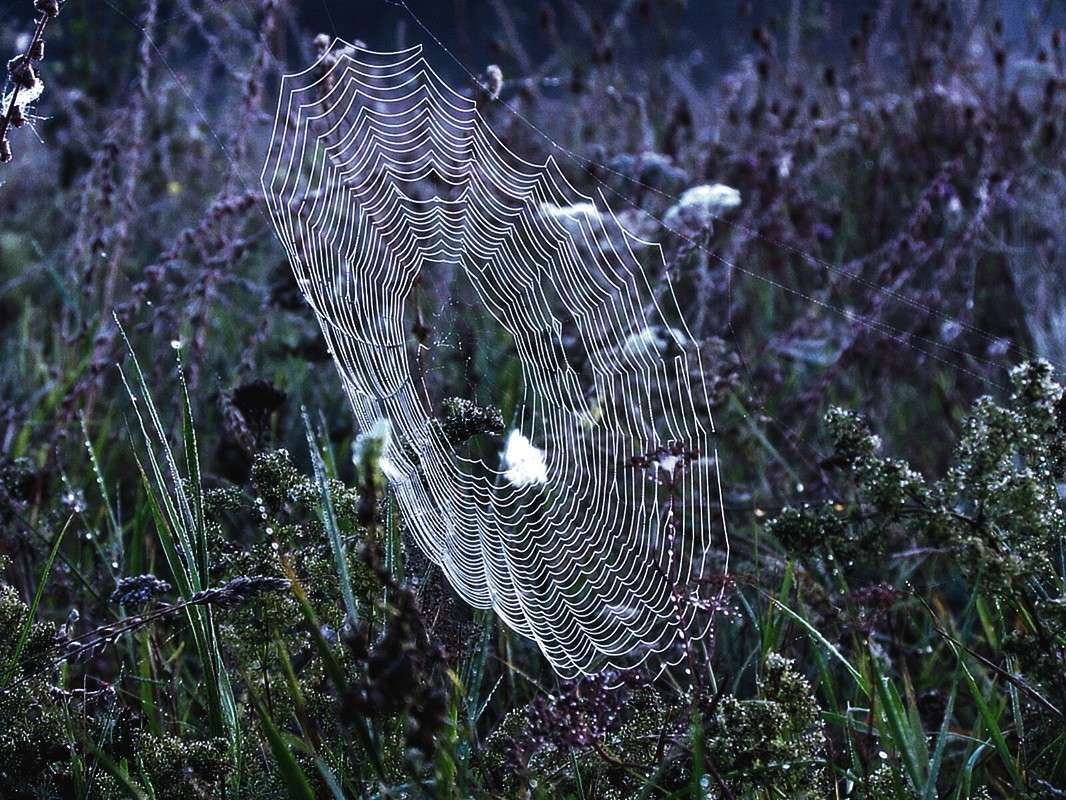 ������� ����� ���� ������ �� PhotoGeek.ru #������ ��� �������