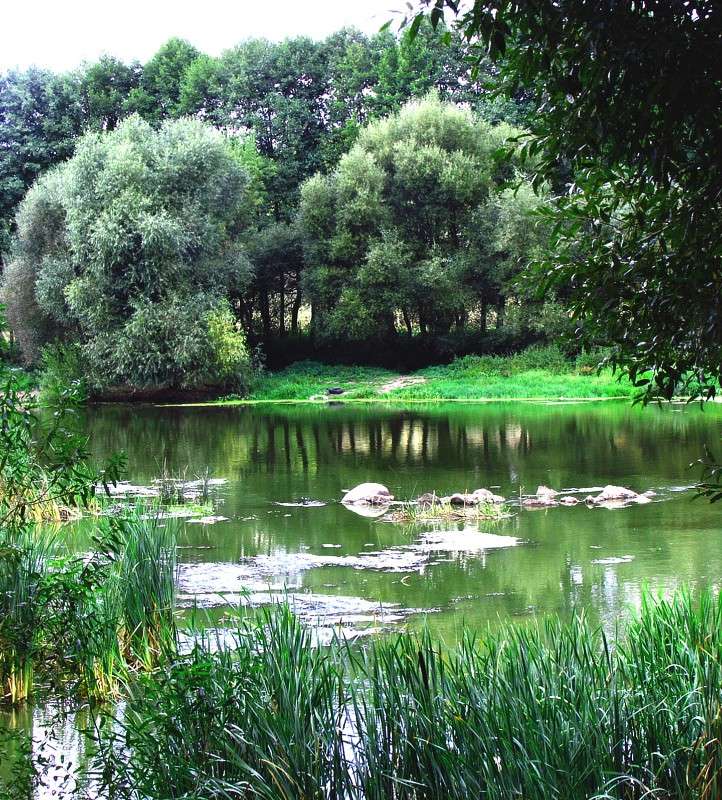 ������ ����� ���� ������ �� PhotoGeek.ru #������ ��� �������