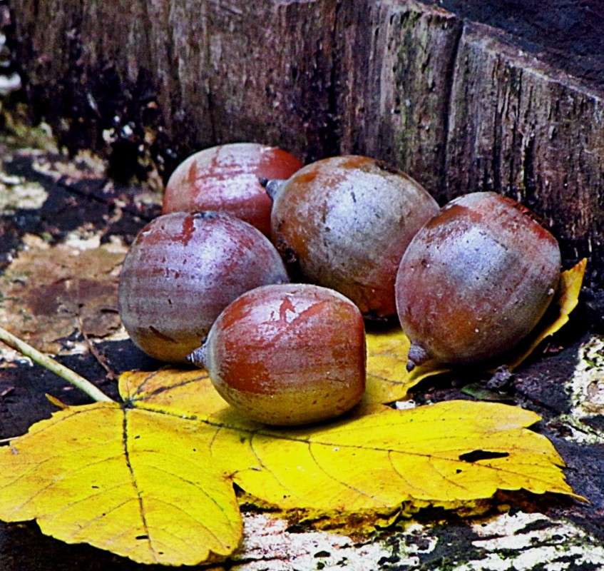 ������ ����� ���� ������ �� PhotoGeek.ru #�������� ����������