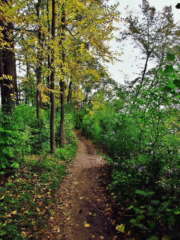 �������� ����� ���� ������ �� PhotoGeek.ru #������ ��� �������