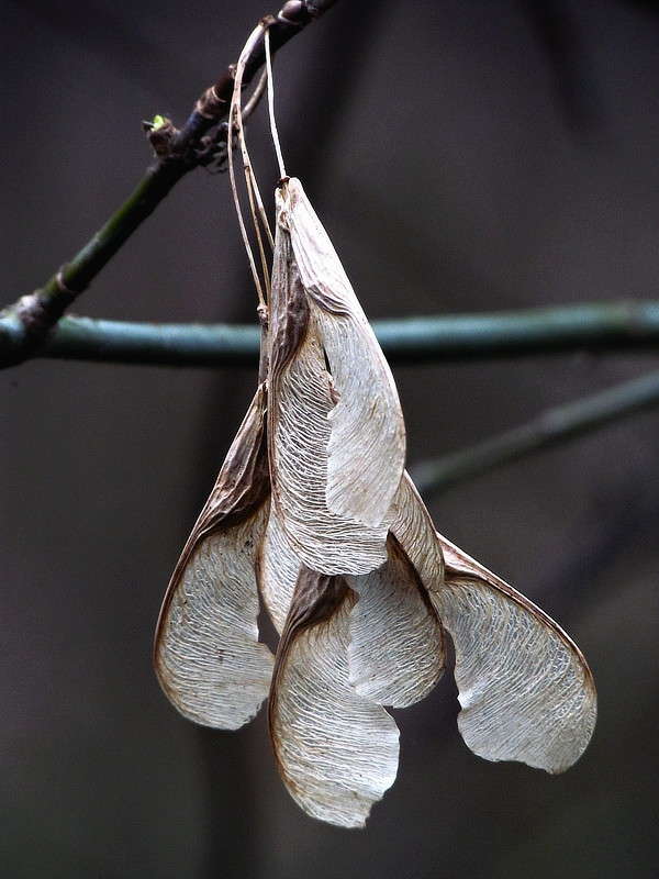 ���������� ����� ���� ������ �� PhotoGeek.ru #������ ��� �������