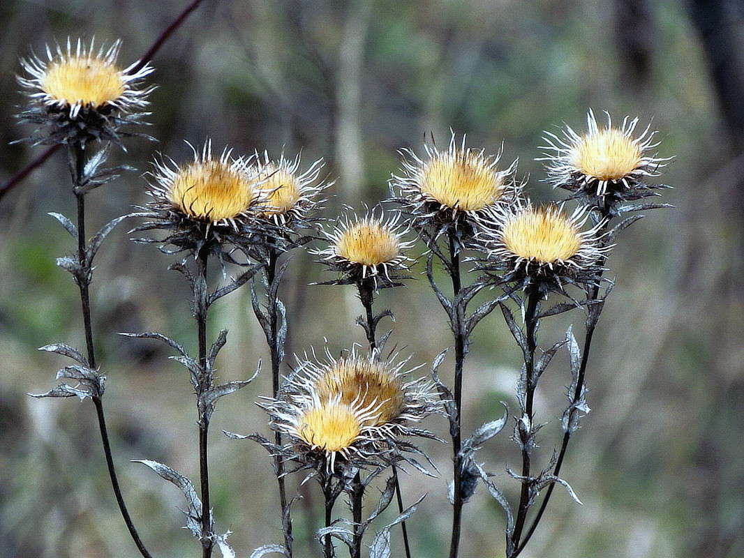 ����� ���� ����� ���� ������ �� PhotoGeek.ru #������ ��� �������