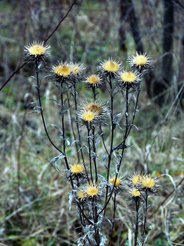 ������ ����� ����� ���� ������ �� PhotoGeek.ru #������ ��� �������