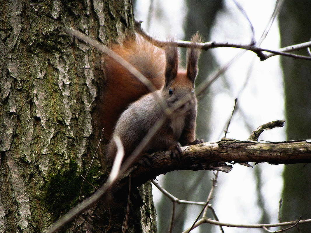 ����� ����� ���� ������ �� PhotoGeek.ru #�������� ���