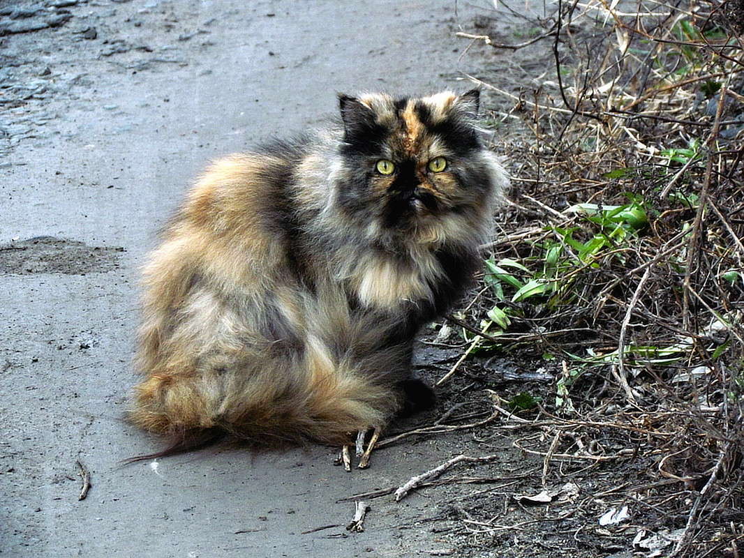 ���� ����� ���� ������ �� PhotoGeek.ru #�������� ��� #�����