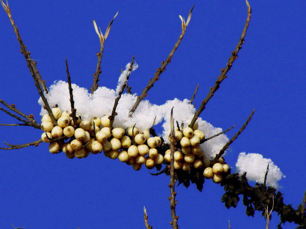 �������� ����� ���� ������ �� PhotoGeek.ru #������ ��� �������