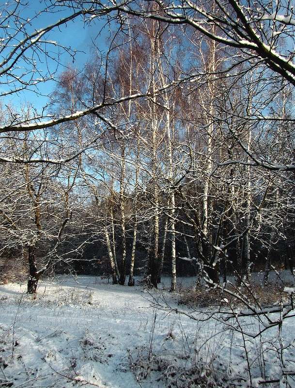 ���� ����� ���� ������ �� PhotoGeek.ru #������ ��� �������