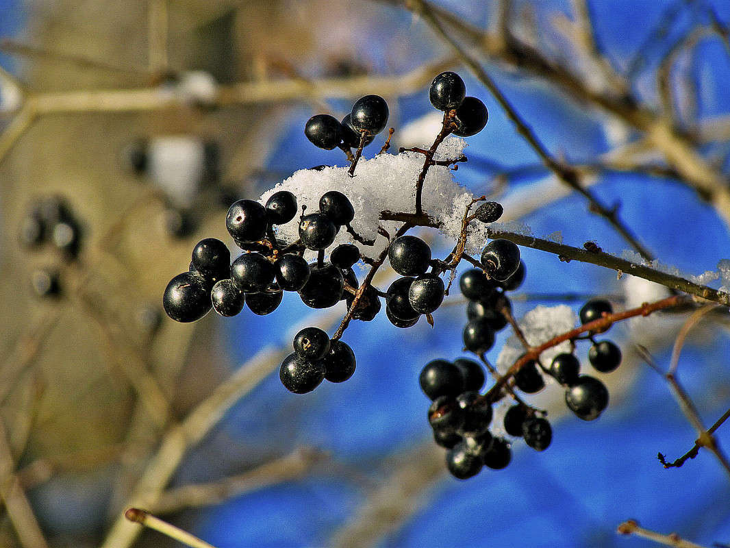 ������ ����� ����� ���� ������ �� PhotoGeek.ru #������ ��� �������