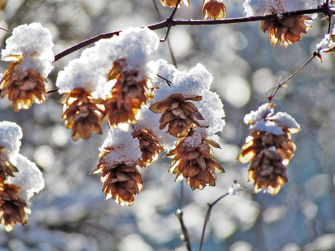 ����� ����� ���� ������ �� PhotoGeek.ru #������ ��� �������