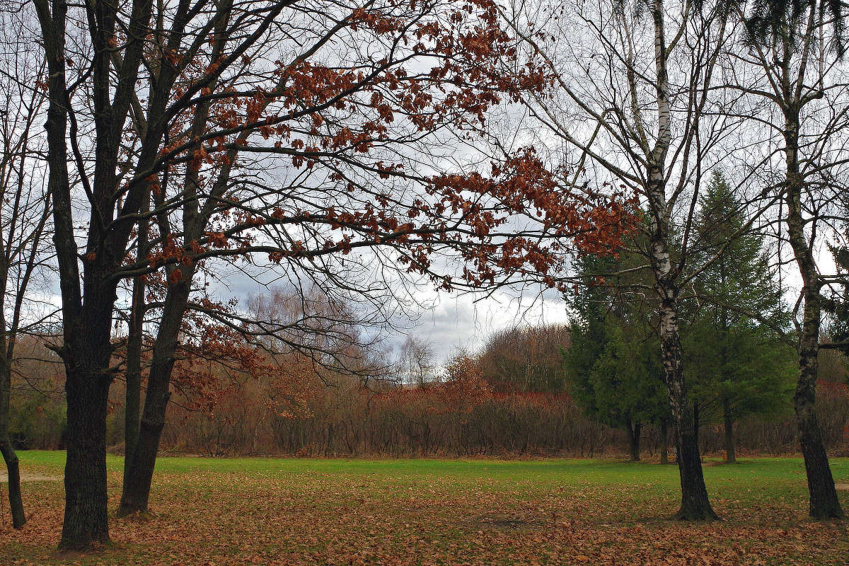 ������ ����� ���� ������ �� PhotoGeek.ru #������ ��� �������