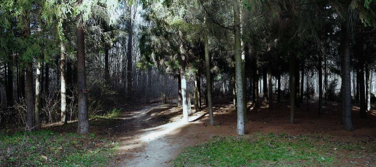 � ���� ����� ���� ������ �� PhotoGeek.ru #������ ��� �������