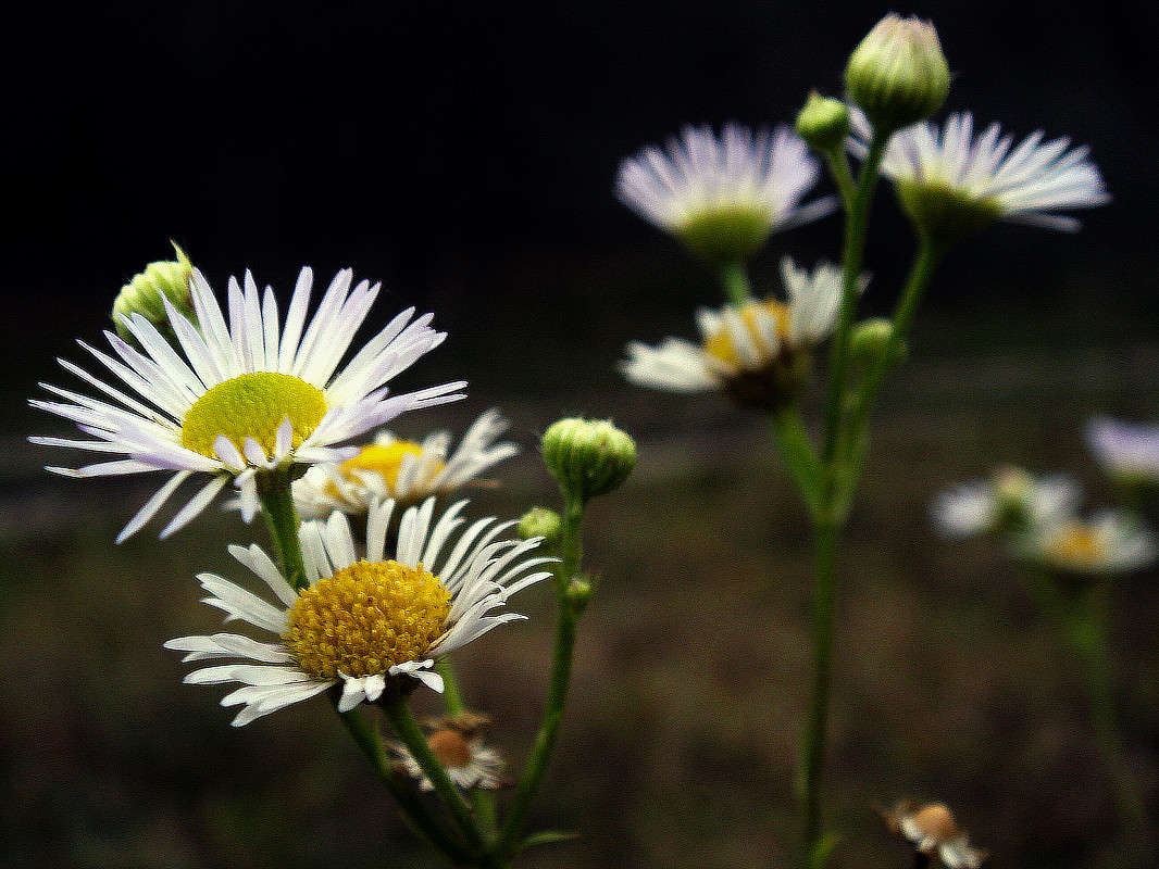 ������� ����� ���� ������ �� PhotoGeek.ru #������ ��� �������