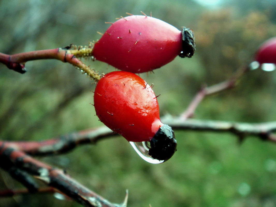 �������� ����� ���� ������ �� PhotoGeek.ru #�����