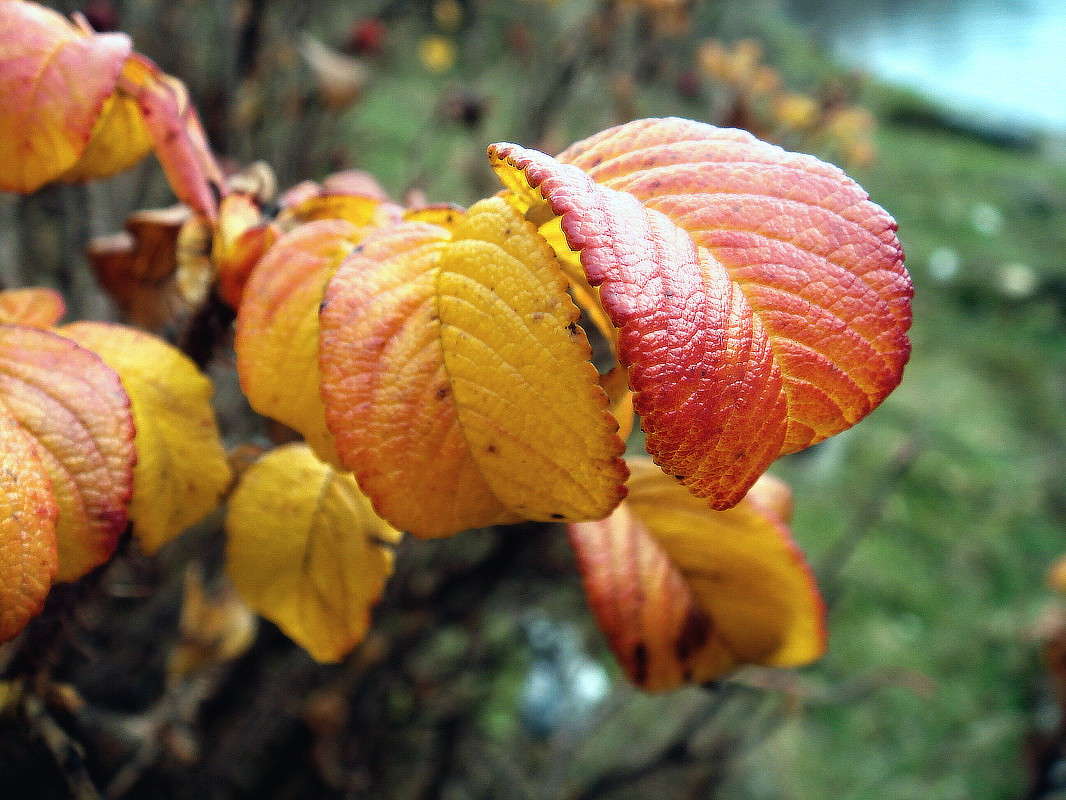 ������� ������ ����� ���� ������ �� PhotoGeek.ru #������ ��� �������