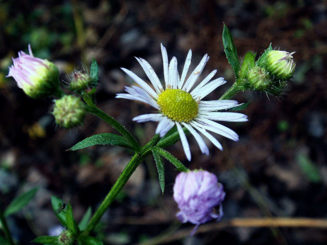 ������� ����� ���� ������ �� PhotoGeek.ru #�����