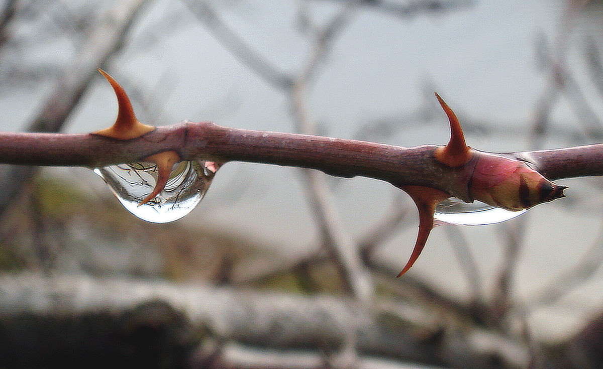 ������� � ����� ����� ���� ������ �� PhotoGeek.ru #�����