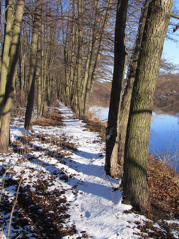 � ���� ����� ���� ������ �� PhotoGeek.ru #������ ��� �������