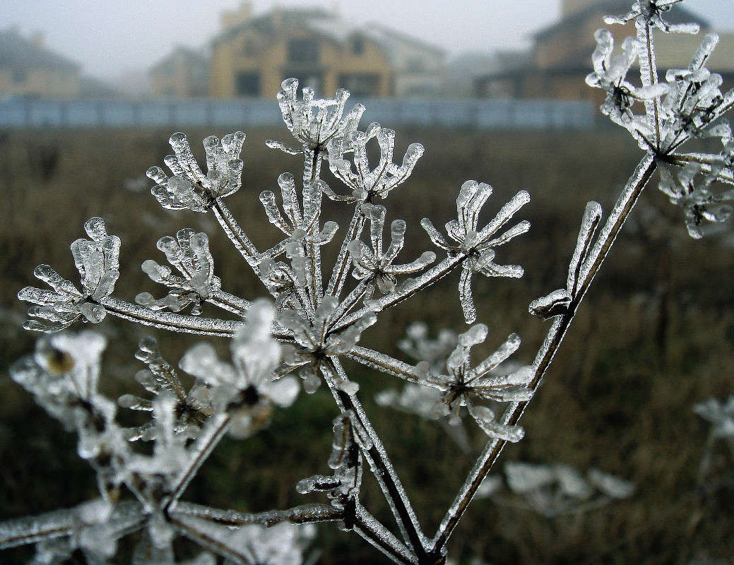 ������� ���� ����� ���� ������ �� PhotoGeek.ru #����� #����