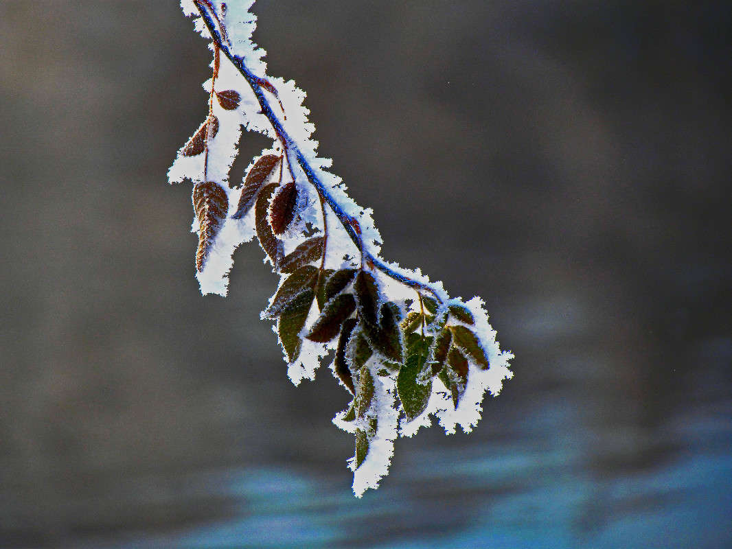 ���� ����� ���� ������ �� PhotoGeek.ru #������ ��� �������