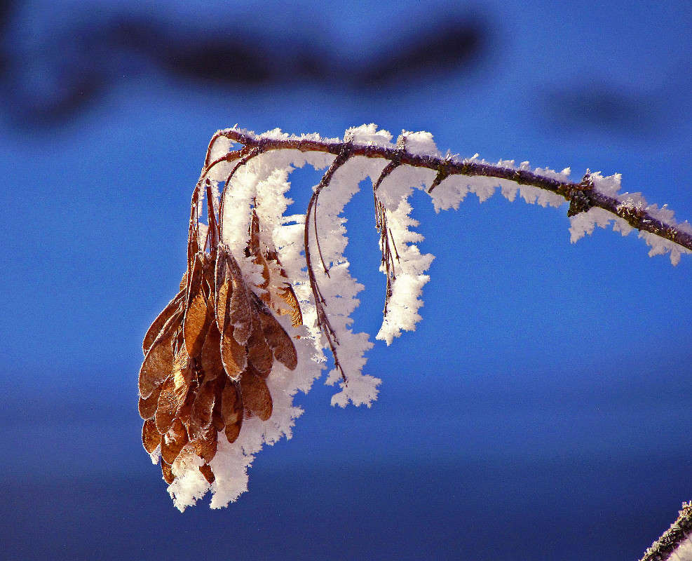 ���� ����� ���� ������ �� PhotoGeek.ru #�����