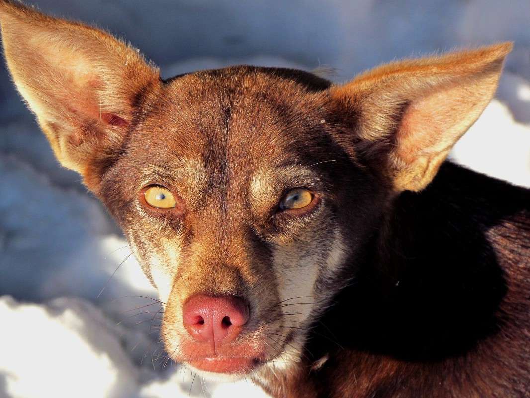 ����� ����� ���� ������ �� PhotoGeek.ru #�������� ���