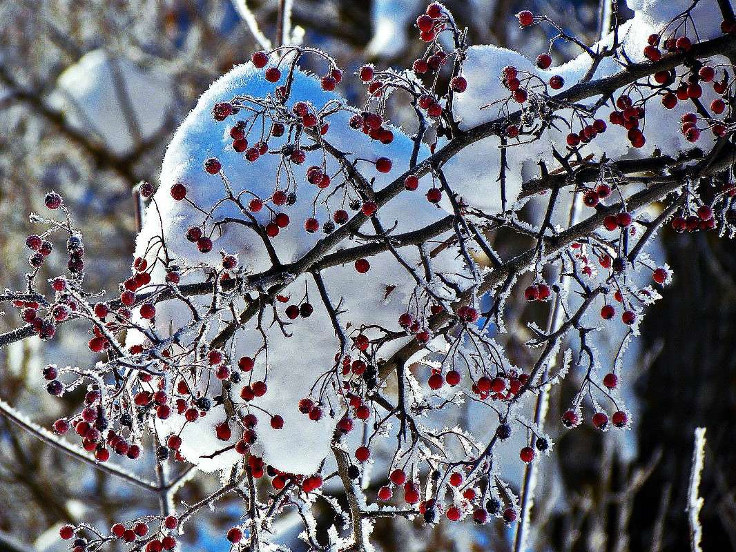 ����� ����� ���� ������ �� PhotoGeek.ru #������ ��� �������